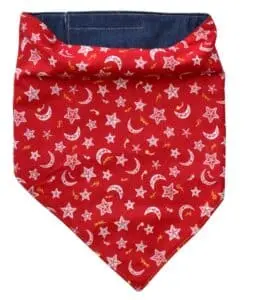 Bandana 027