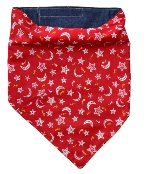 Bandana-bib 027