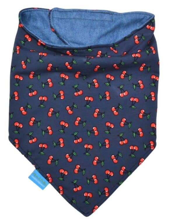Bandana-bib 087