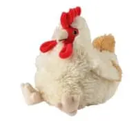 Kruik kip