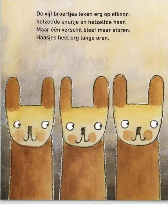 Haasje