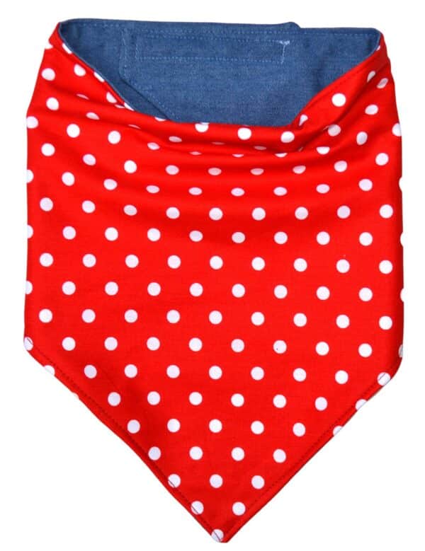 Bandana-Bib 131