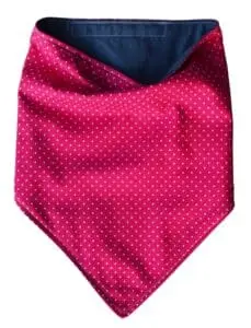 Bandana 178