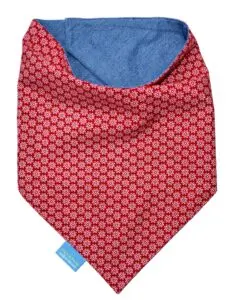 Bandana 029