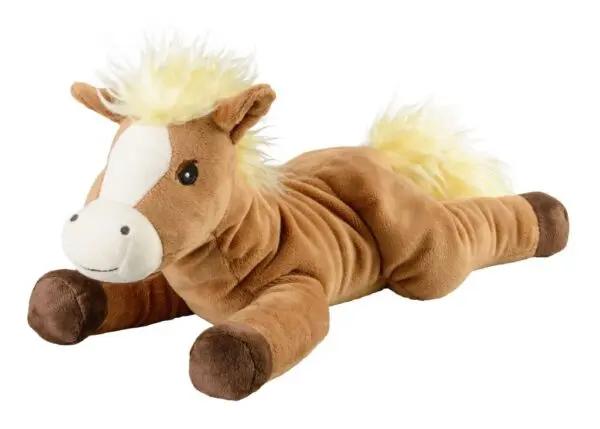 Kruik pony