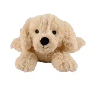 Kruik golden retriever